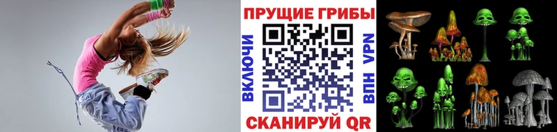 Псилоцибиновые грибы ЛСД Богородск