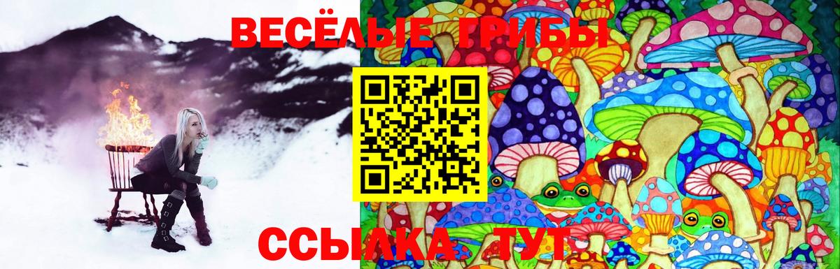Богородск  Галлюциногенные грибы ЛСД  Псилоцибиновые грибы Psilocybine cubensis  Вход с VPN 